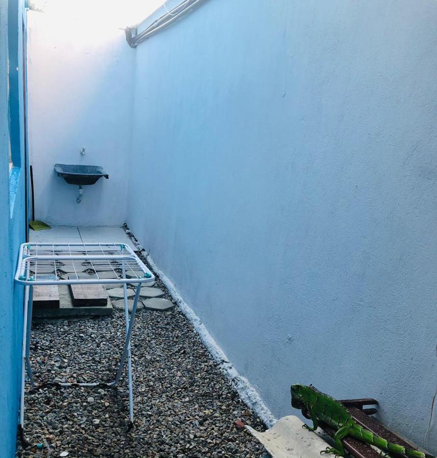 Apartamento Blue Horse Pipa Apartment Praia de Pipa Bagian luar foto